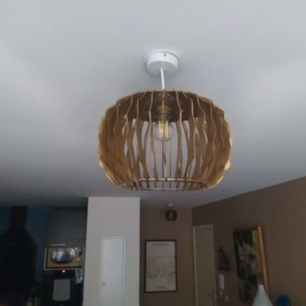 Lustre Taegen – Image 3