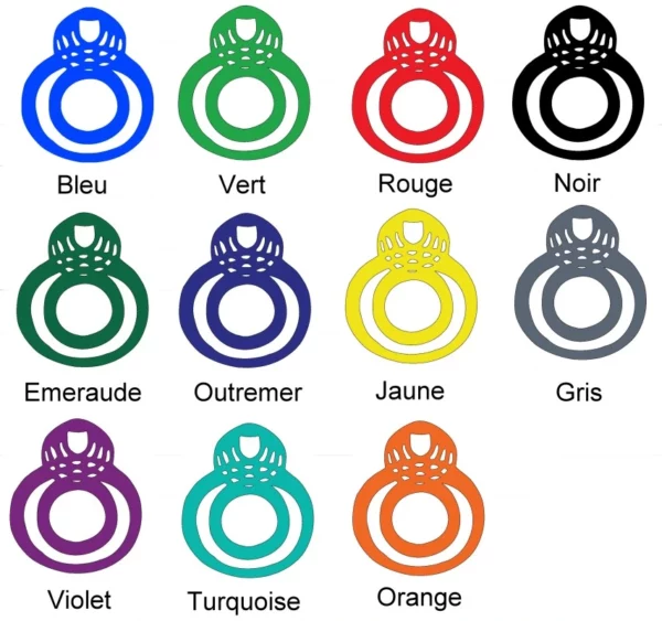 Boucles d'oreilles Miaxisys – Image 2