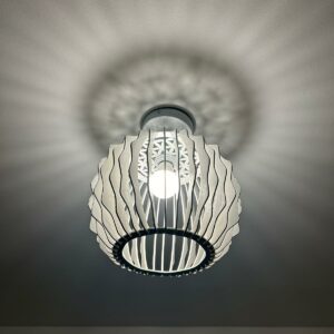 lustre taegen
