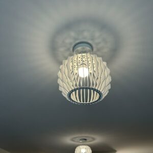 lustre taegen